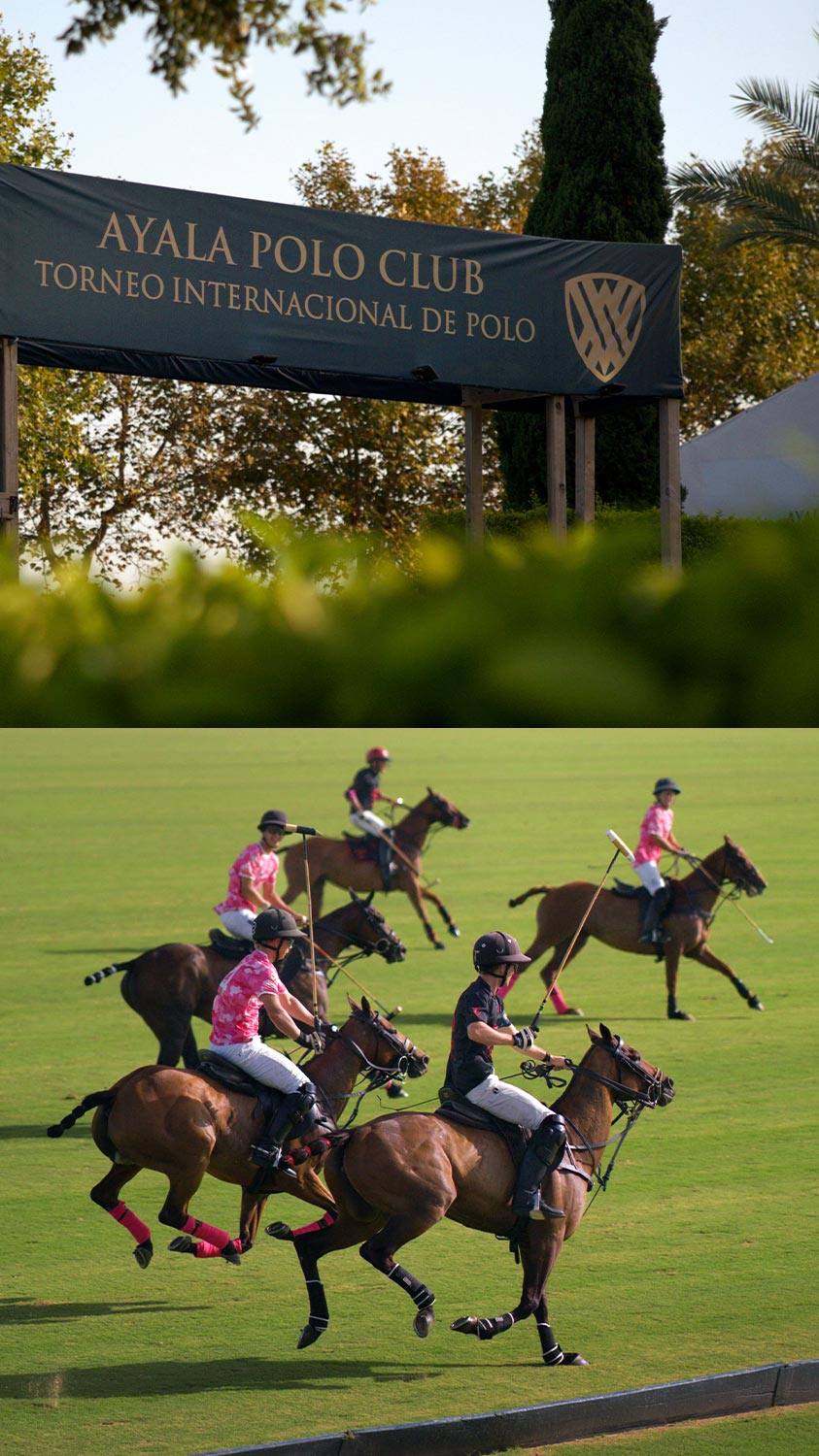 Royal Salute Polo, imagen 4